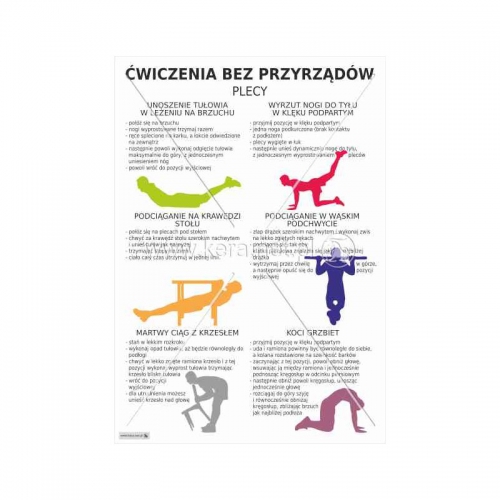 2930 Ćwiczenia bez przyrządów - plecy