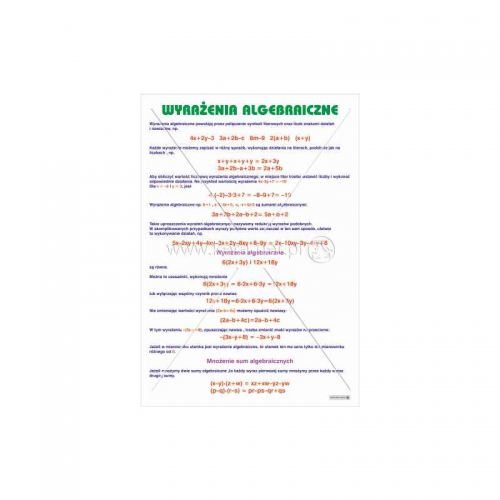 3036 Wyrażenia algebraiczne
