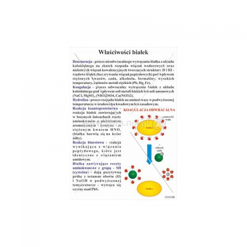 3158 Właściwości białek