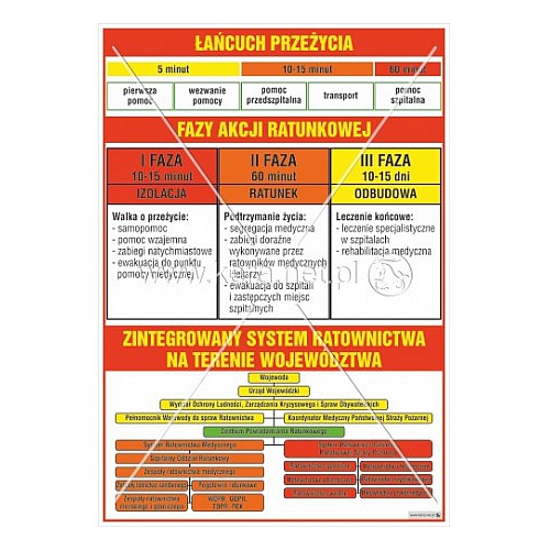 3522 Łańcuch przeżycia, Fazy akcji ratunkowej, Zintegrowany system ratownictwa na terenie województwa