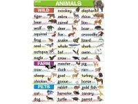 Animals - plansza