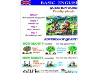Basic English IV