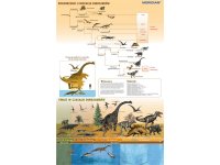 Ewolucja dinozurów - świat w czasach wielkich gadów