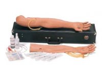 Male Multi-Venous IV Training Arm Kit