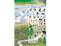 Piętrowość w górach - plansza
