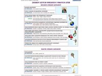 Pisownia wielką i małą literą - plansza