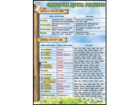 Rodzaje i źródła zapożyczeń - plansza