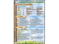 Stopniowanie przymiotników, liczebniki, spójniki