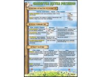 Tworzenie wyrazów pochodnych, rodzaje formantów-plansza