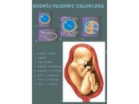 WYCHOWANIE DO ŻYCIA W RODZINIE