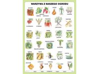Warzywa z naszego ogrodu