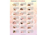 Zwierzęta chronione w Polsce - plansza
