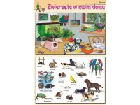 Zwierzęta w moim domu - plansza