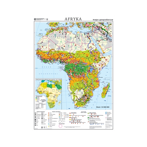 Afryka. Mapa gospodarcza