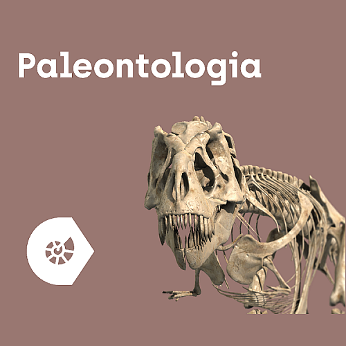 Aplikacja Corinth - Paleontologia i Kultura