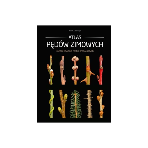 Atlas pędów zimowych