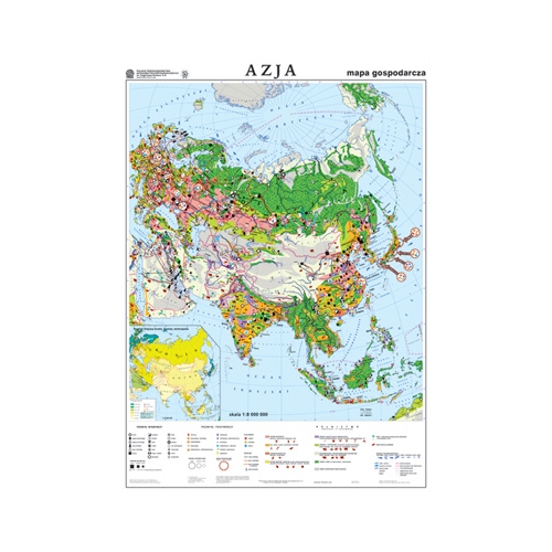 Azja. Mapa gospodarcza