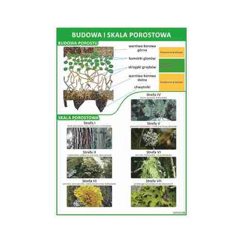 2275 Budowa i skala porostowa