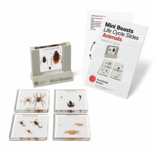 Cykl życiowy - ZWIERZĘTA