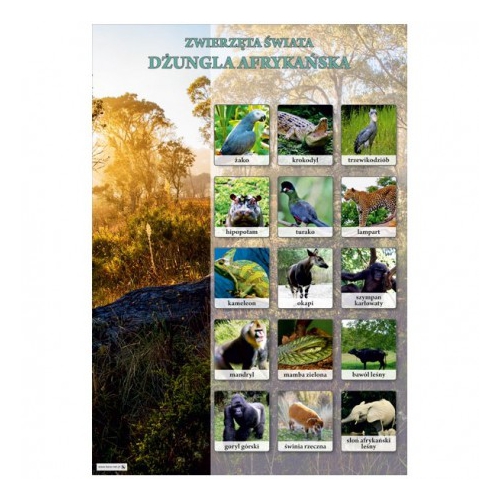 1340 Dżungla Afrykańska