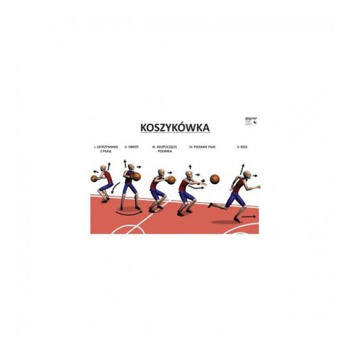 660 - Koszykówka podstawy