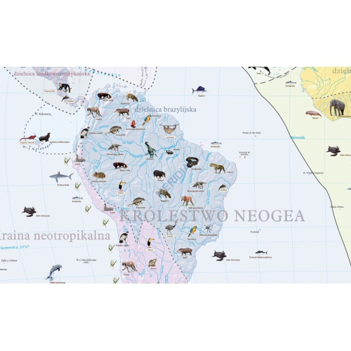 Krainy zoogeograficzne świata 160x120 cm