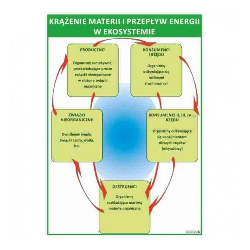 Krążenie materii i przepływ energii w ekosystemie