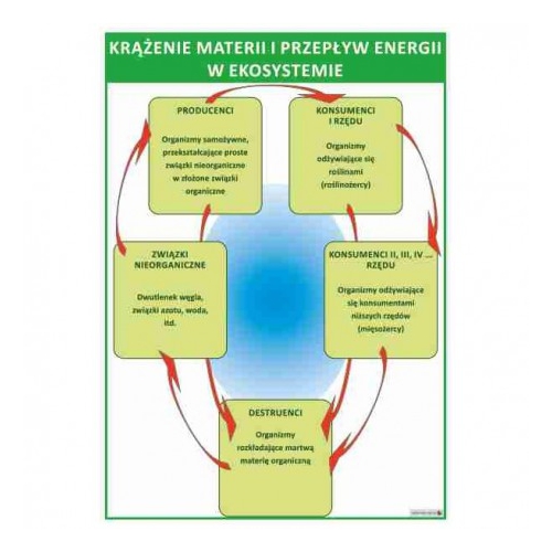 1675 Krążenie materii i przepływ energii w ekosystemie