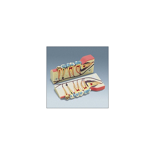 Model demonstracyjny D-5