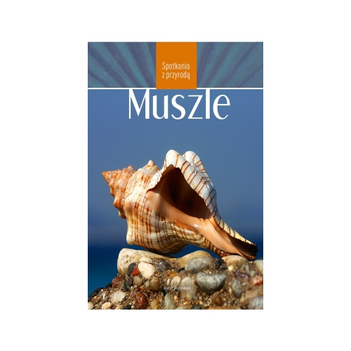 Muszle