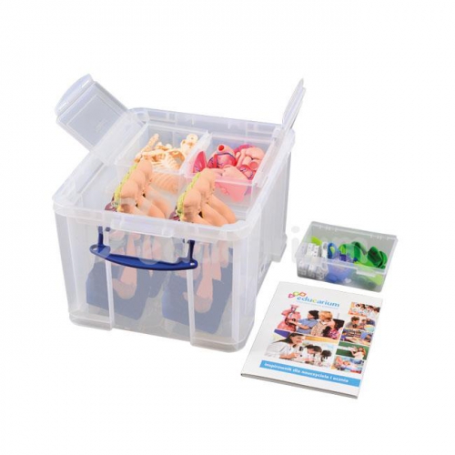 Odkrywamy ludzkie ciało - organy, szkielet, serce