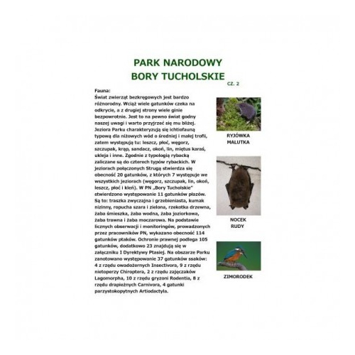 Park Narodowy Bory Tucholskie cz.2