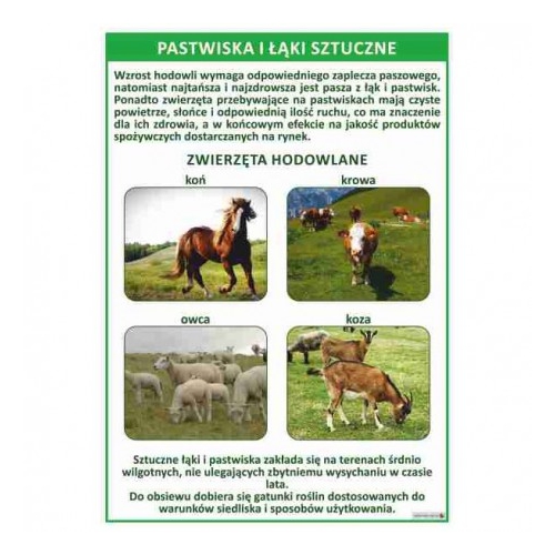 Pastwiska i łąki sztuczne