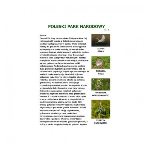 Poleski Park Narodowy cz. 2