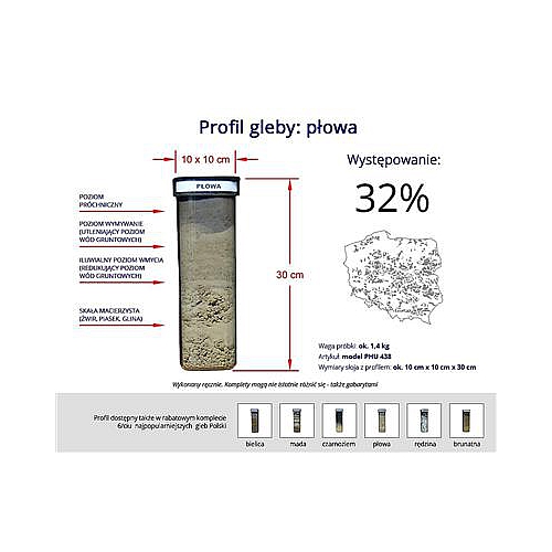Profile glebowe – gleba płowa