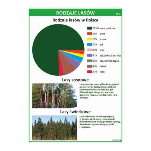 Rodzaje lasów cz. 1