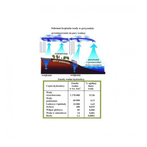 Schemat krążenia wody w przyrodzie
