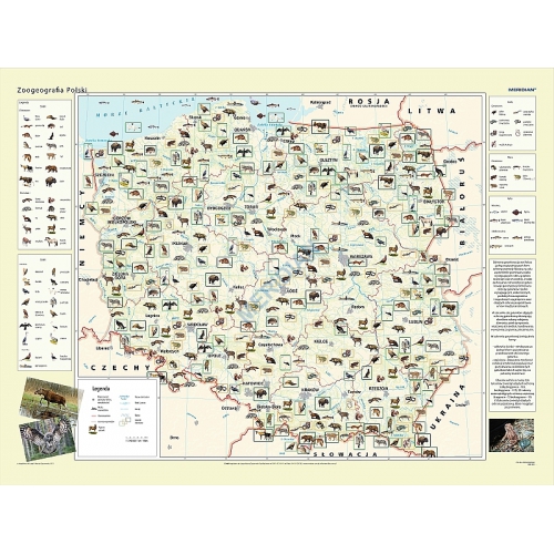 Zoogeografia Polski 160x120 cm