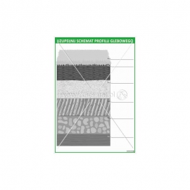 3010 Uzupełnij schemat profilu glebowego
