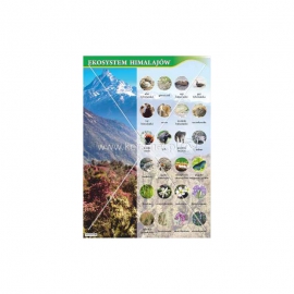 3061 Ekosystem Himalajów