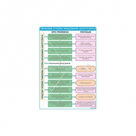 3146 Tworzenie systemu wskaźników logistycznych