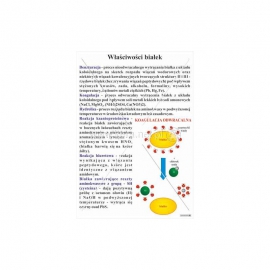 3158 Właściwości białek