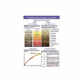 3578 Przebieg rozjaśniania włosów