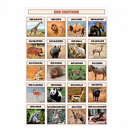 3682 Ogród zoologiczny