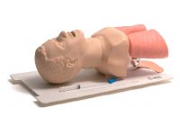 Airway Management Trainer - manekin do nauki intubacji