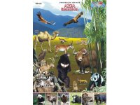 Azja Środkowa - plansza