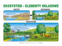 Edukacja ekologiczna - zestaw plansz