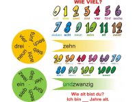 Język Niemiecki - Kurs podstawowy Dla klas I-III