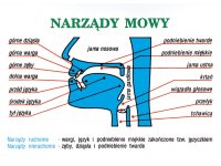 Język polski, część 2 - Składnia