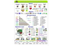 Podstawy języka rosyjskiego - plansza